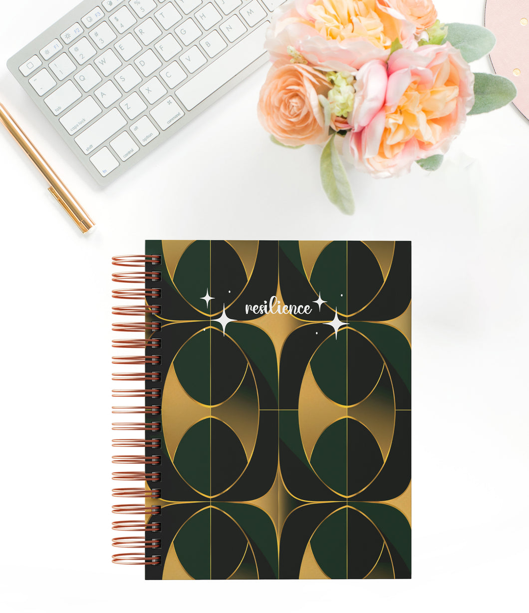 Resilience Notebook